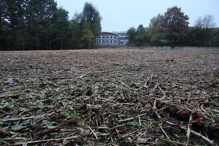 Wer von der Georg-Weerth-Straße aus über die alte Steinbrücke geht, die früher zum Freibad gehörte, hat jetzt einen freien Blick bis zum Leopoldinum. - © Jana Beckmann