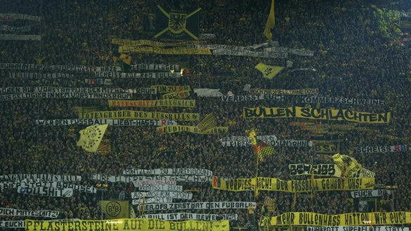 BVB-Fans - &copy; Foto: Ina Fassbender