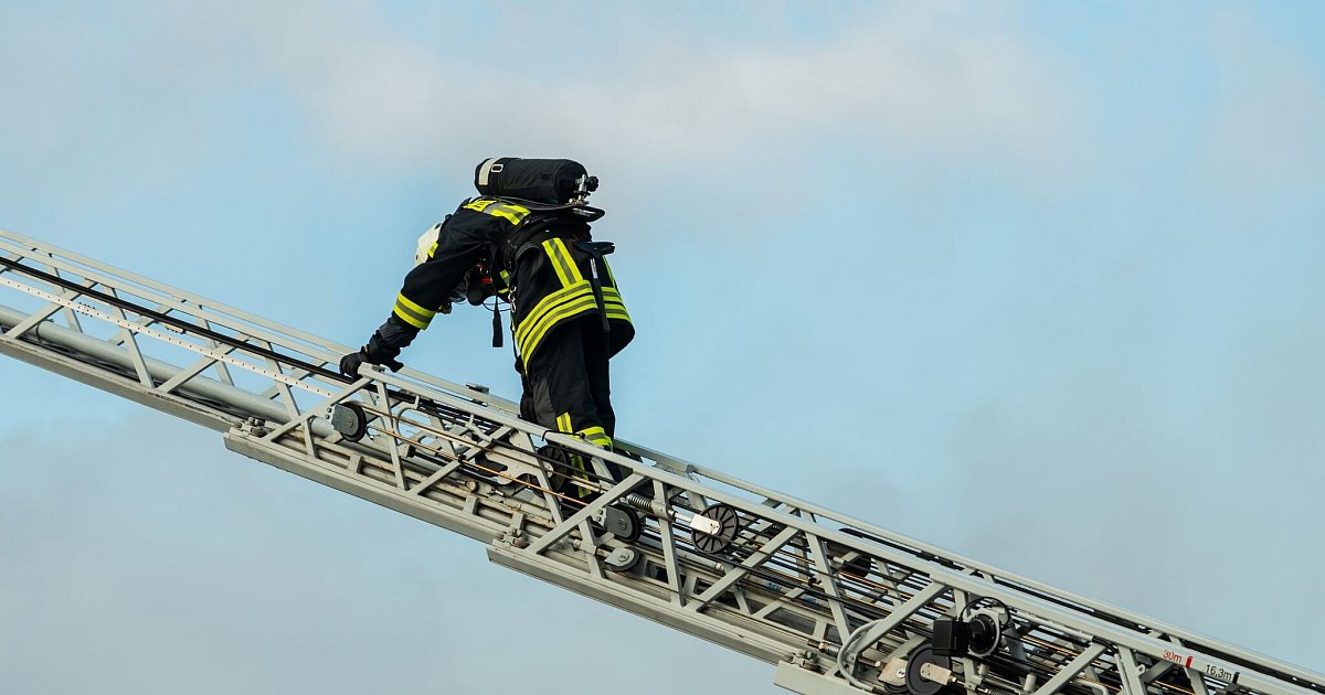 Feuerwehr-rettet-Papagei-mit-Drehleiter-vom-Dach