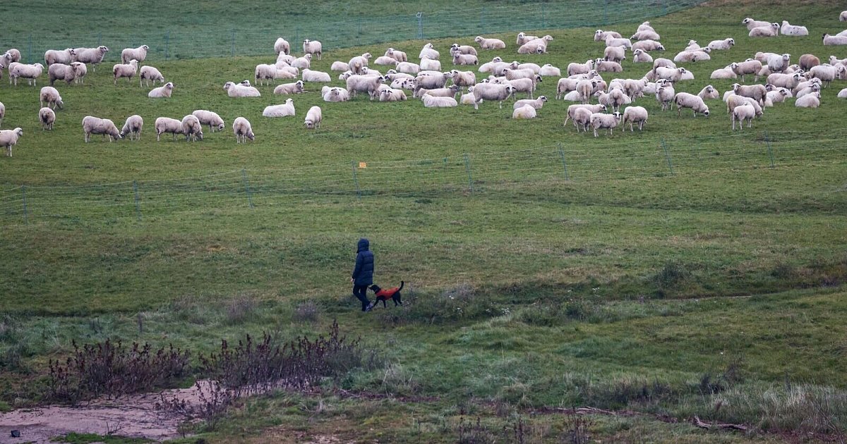 Wolken-und-zuweilen-Regen-in-Nordrhein-Westfalen