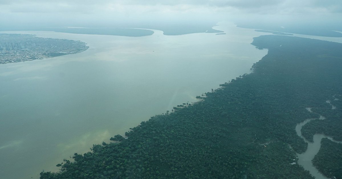 Amazonas-im-Stress-laquo-auch-in-Berlin-sp-rbar-raquo-