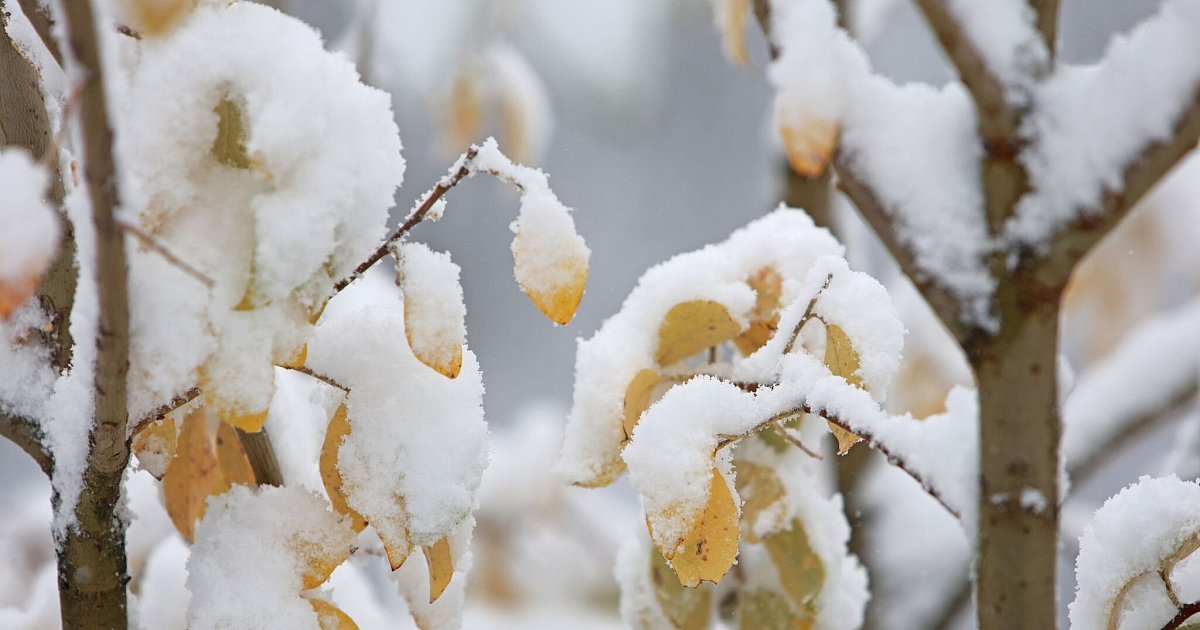 Mancherorts-wird-s-wei-Temperaturen-sinken