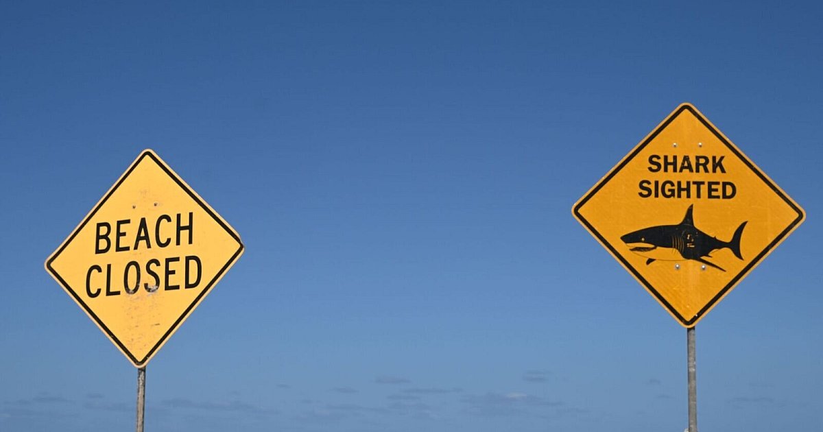 Haiattacke-in-Australien-Frau-stirbt-Mann-schwer-verletzt