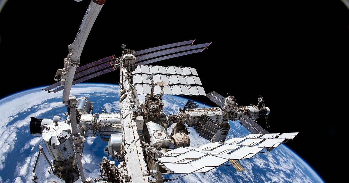 Tiere-vom-All-aus-im-Blick-Projekt-laquo-Icarus-raquo-startet-neu