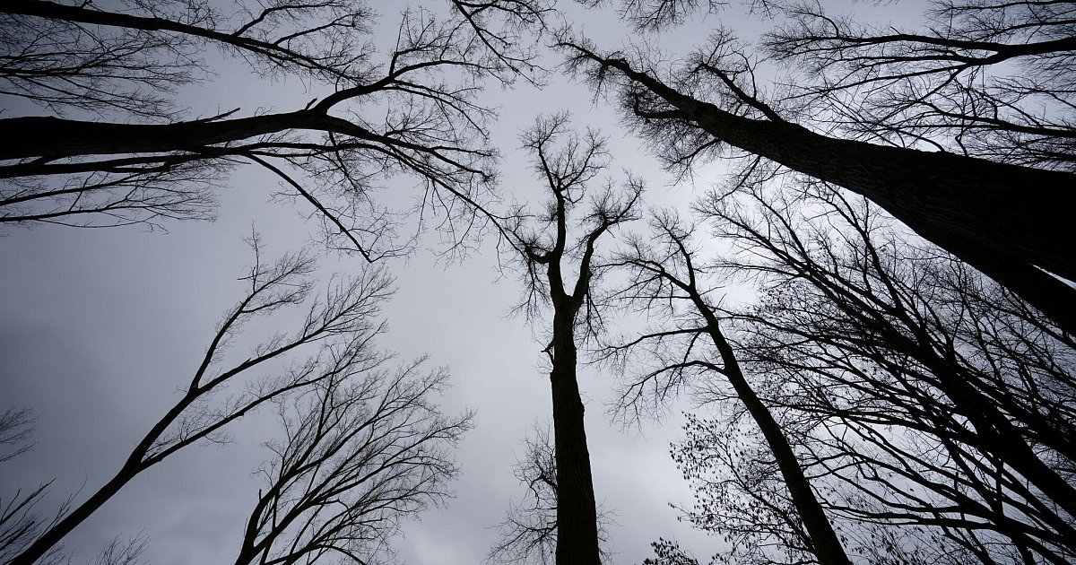 Dezember-beginnt-in-NRW-mild-und-oft-nass