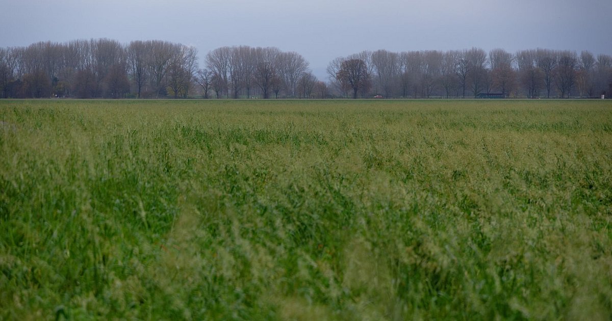 Dichte-Wolken-und-nasser-Start-in-das-Wochenende-erwartet