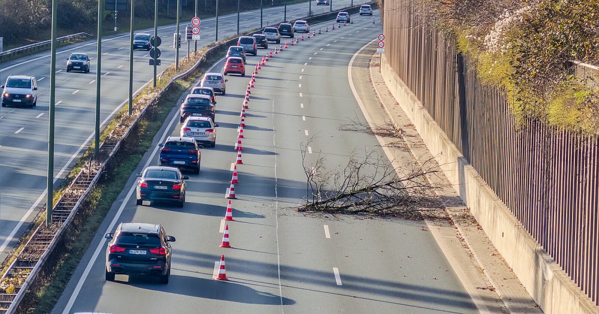 Stockender-Verkehr-stadtausw-rts-Baumpflegearbeiten-am-Bielefelder-Ostwestfalendamm