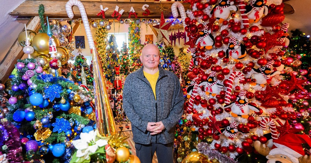 Neuer-Weltrekordversuch-621-Weihnachtsb-ume-im-Haus