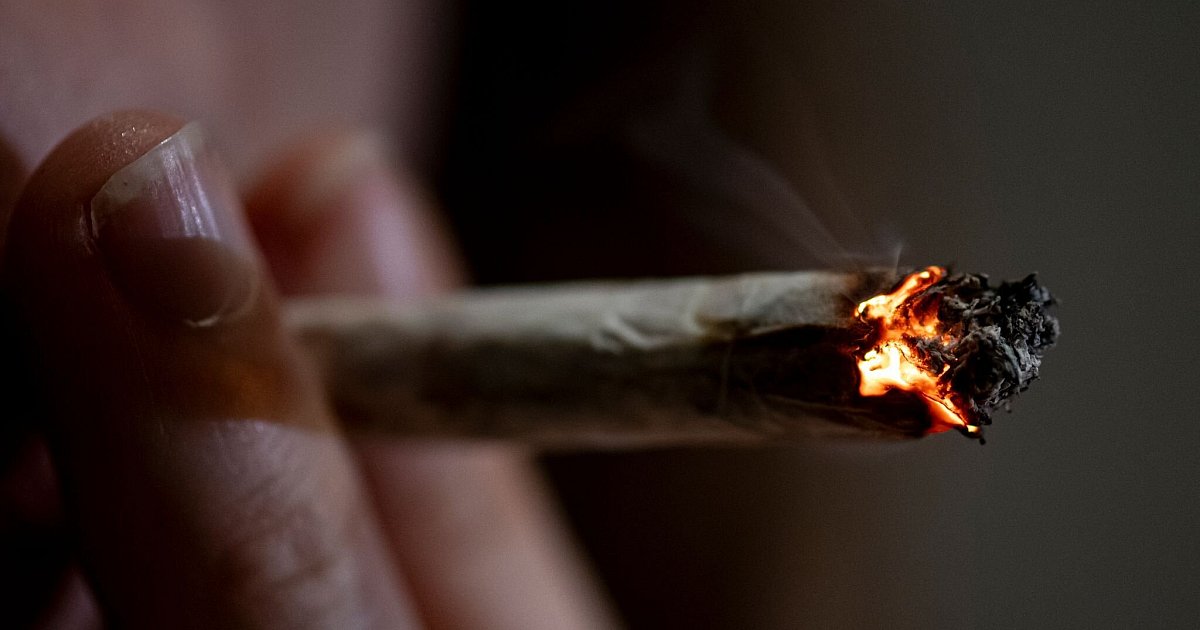 Wie-neue-Pl-ne-f-r-Medizin-Cannabis-polarisieren