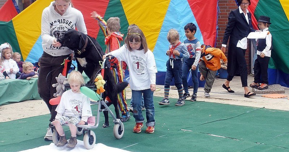 Große 40-Jahr-Feier in der Gartenstraße | Lokale Nachrichten aus Lemgo