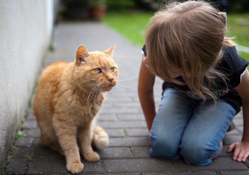 Welches Tier passt zu mir? Servicethema Tiere LZ.de
