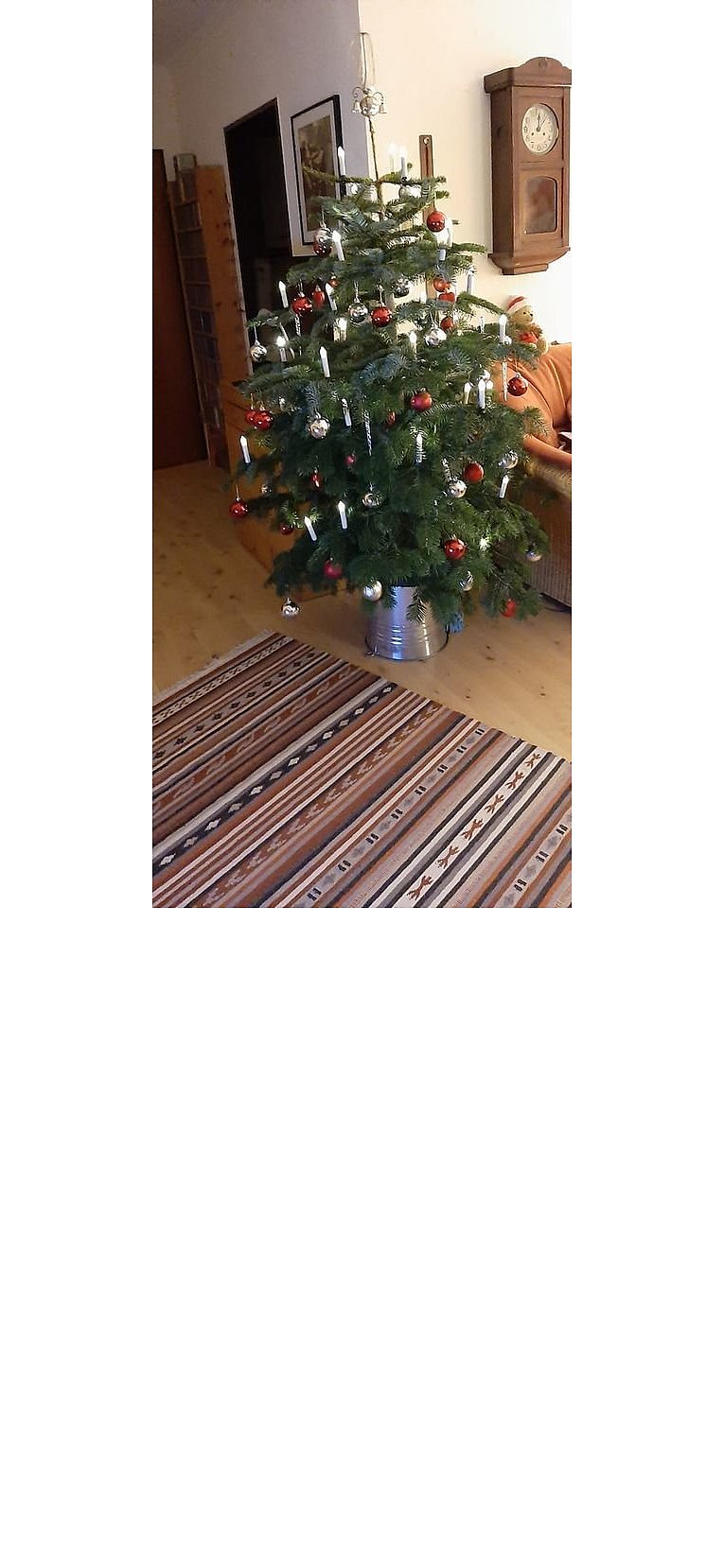 Weihnachtsbäume in Lippe