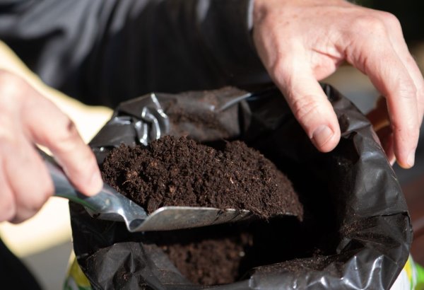 Blumenerde - © Foto: Andrea Warnecke/dpa-tmn