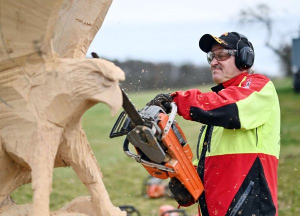 Der Kettensägen-Holzschnittkünstler Dieter Binder arbeitet an einer Skulptur in Form eines Adlers. - © Uli Deck/dpa