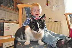 Der zwei Jahre alte Dean ist froh, dass er wieder mit Kater Charlie schmusen kann. Das Tier war f&uuml;r einen Tag spurlos verschwunden und tauchte dann operiert wieder auf. - &copy; FOTO: JULIA GESEMANN