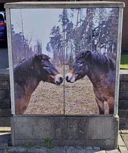 Der Heimatverein hat Stromk&auml;sten in Augustdorf versch&ouml;nert. - &copy; Heimatverein Augustdorf