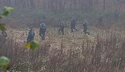 Polizei durchk&auml;mmt Wald auf der Suche nach Fabian L. - &copy; Bielefeld