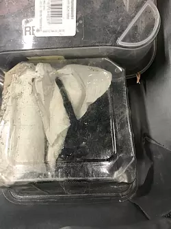 Eine der Vogelspinnen in ihrer Box. - &copy; Zoll