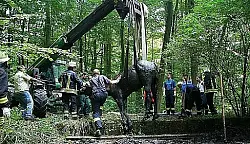 Stute aus Schlammloch gerettet - &copy; Bad Driburg