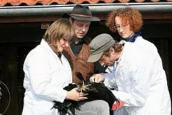 D&ouml;entruper Thomas Hinze h&auml;lt alte Haustierrassen. - &copy; Foto: L&uuml;deking