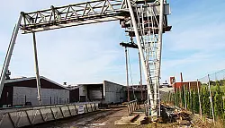 Phoenix breitet sich in Schieder aus - © Schieder