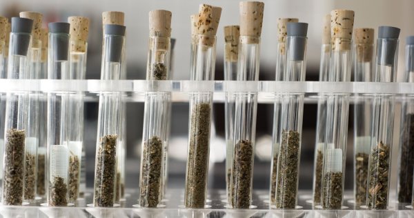 950 verschiedene Designerdrogen hat die Europäische Drogenagentur registriert. (Archivbild) - © Christoph Schmidt/dpa