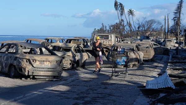 Ausgebrannte Autos in Lahaina. - © Rick Bowmer/AP/dpa