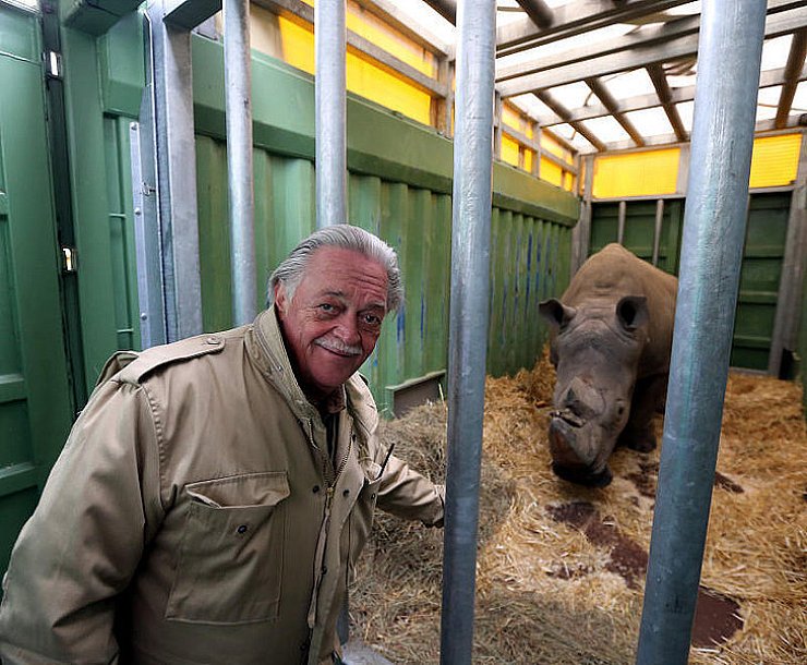 Safaripark-Chef Fritz Wurms begrüßt Snoopy, den neuen, aber betagten Nashornbullen. Er soll sich mit der alten Nashorndame Buffy einen schönen Lebensabend machen. Noch gibt sich Snoopy allerdings etwas zurückhaltend. - © FOTOS: WOLFGANG RUDOLF