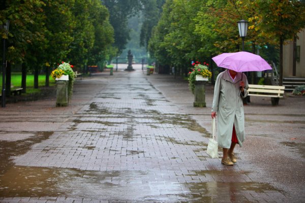 Regen im Kurpark Bad Meinberg - © Archivfoto: Vera Gerstendorf-Welle
