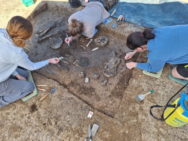 Das Grab im Ortsteil Exing, nach dem das Skelett als «Exinger» bezeichnet wird, wurde bei einer Untersuchung vor Bauarbeiten entdeckt. - © F.Eibl/Landratsamt Dingolfing-Landau/dpa