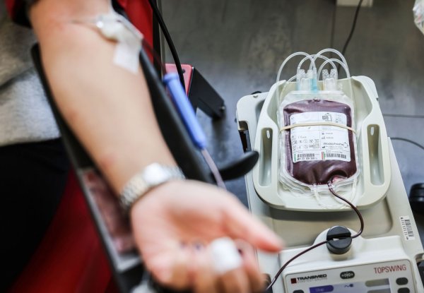 Ein halber Liter Blut wird den Spendern abgenommen - es kann etwa Krebspatienten und Unfallopfern das Leben retten. (Archivbild) - © Oliver Berg/dpa