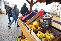 Der Bruchmarkt hat zwei Tage lang in die Lemgoer Innenstadt gelockt. - © Nicole Ellerbrake