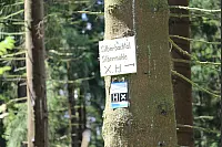 Wandern zum Lippischen Velmerstot und am Silberbach entlang. - © Janet König