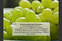 Diese Lebensmittel sind für Hunde giftig - © Kirsten Fuhrmann(LZ)