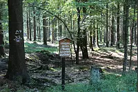 "NaturZeitReise" im Schwalenberger Wald. - © Silke Buhrmester