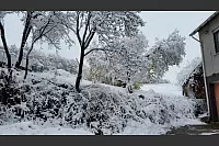 Am Morgen in Westorf. - © Nadine Uphoff