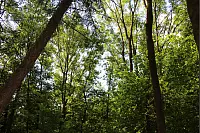 Wandern zum Lippischen Velmerstot und am Silberbach entlang. - © Janet König