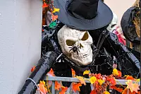 Totenköpfe sind ein Deko-Klassiker zu Halloween. Sie fehlen auch beim Herforder Grusel-Haus. - © Kathrin Weege