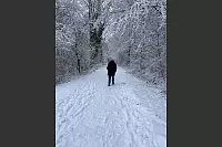 In Holzhausen-Externsteine l&auml;sst es sich gut durch den Schnee wandern. - &copy; Susanne Raspe