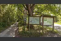 Familienwanderweg Hörste - © Torben Gocke