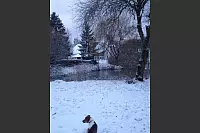 Winter - &copy; Leserfotos