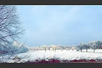 Winter - &copy; Leserfotos