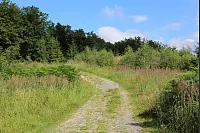 Wandern zum Lippischen Velmerstot und am Silberbach entlang. - © Janet König