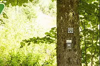 Familienwanderweg in Hörste - © Torben Gocke