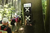 Am zweiten Tag ging es für die 17-köpfige Wandergruppe von Bad Driburg nach Kleineberg (Lichtenau). - © Niklas Böhmer