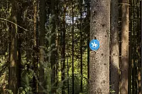 Familienwanderweg in Hörste - © Torben Gocke
