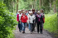 Bilder von der LZ Sternwanderung 2019. - © Torben Gocke