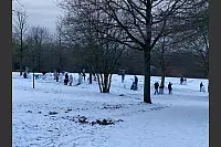 Wer baut den gr&ouml;&szlig;ten und sch&ouml;nsten Schneemann im Landschaftspark Lemgo? - &copy; Angelika Kroos