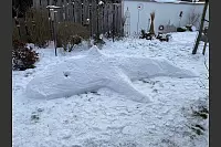 Dieser Schnne-Orca wurde in Pivitsheide VH gesichtet. - &copy; Gerold Knettermeier