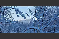Winterliche Impression mit Blick auf den Hermnann. - &copy; Hartmut Engelstock